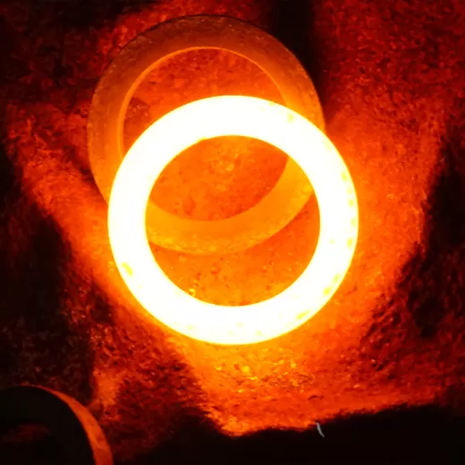 Bearing Hot Forging